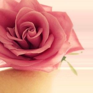 Meet your Posher, Erika